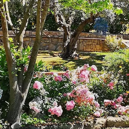 Gli Ulivi سانتو ستيفانو دي ماجرا