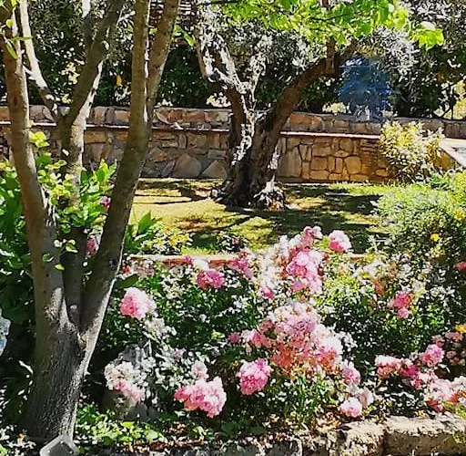 Gli Ulivi Santo Stefano di Magra